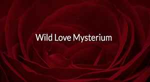 lisa-page-mysterium